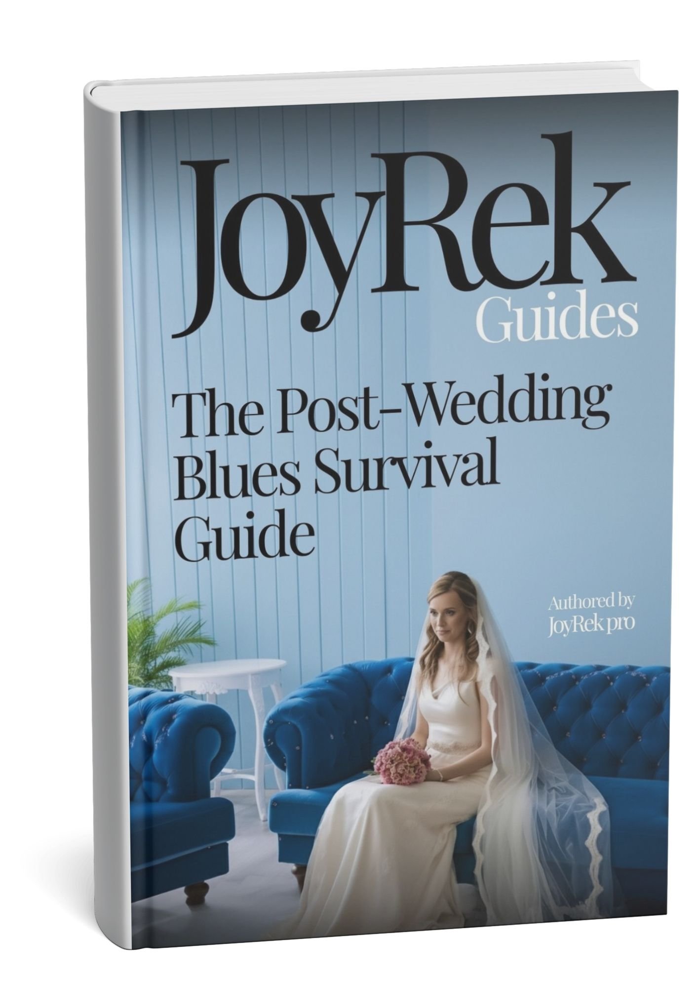 The Post-Wedding Blues Survival Guide Organizer, bridal reference, wedding tips