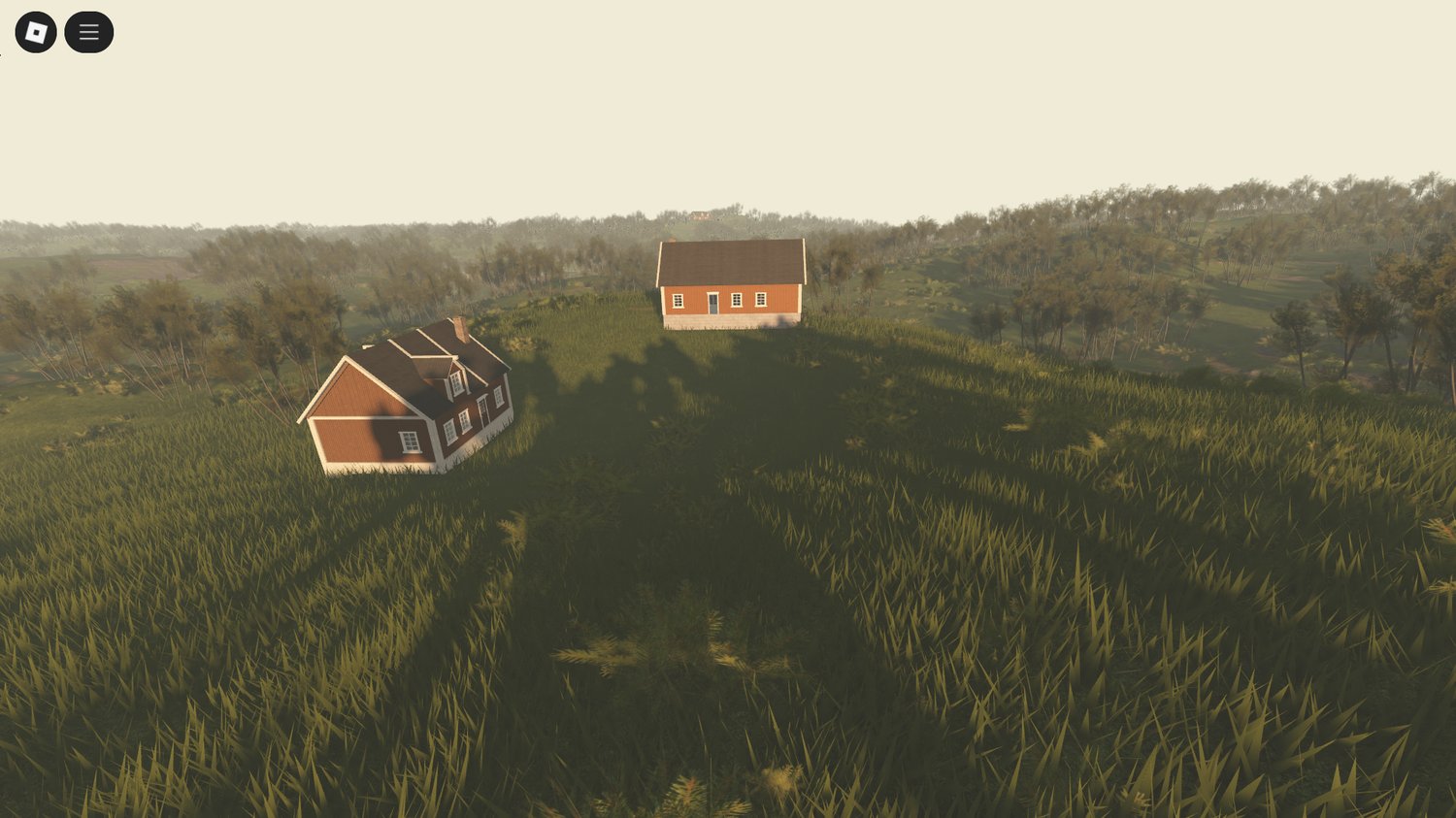 Developer view in Roblox Studio