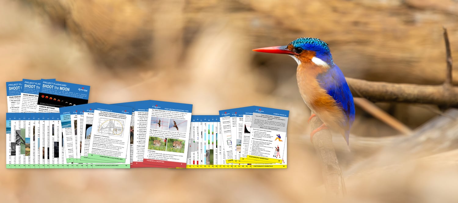 Using Flashcards is like having your own personal photography couch with you everywhere!