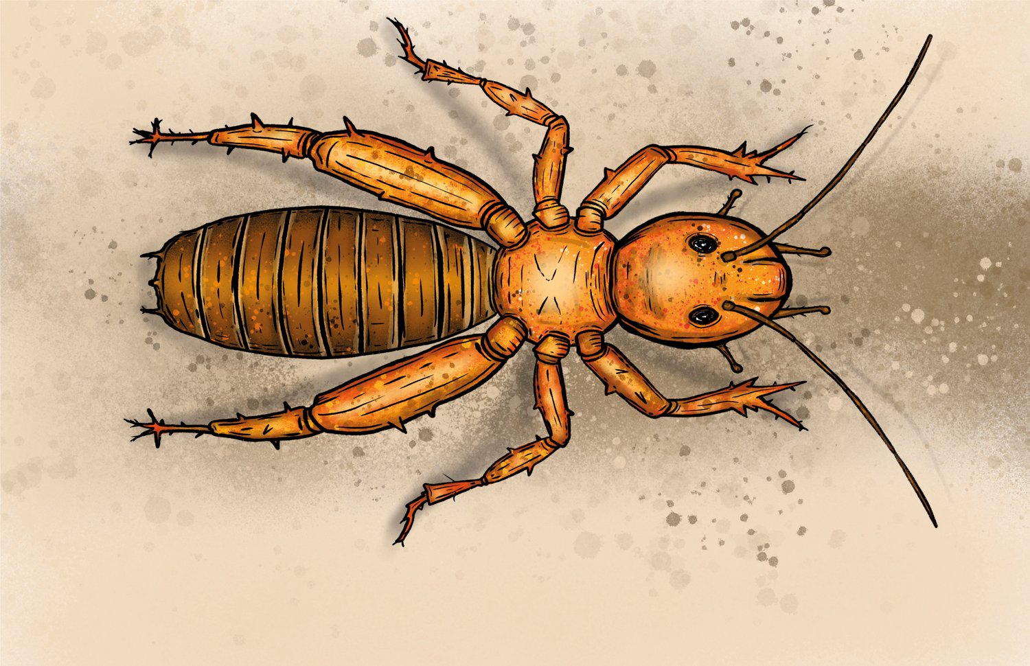 Descubre la historia de un insecto que es juzgado mal por su apariencia. Mira que sucede cuando los demás reconocen su gran valor. Estamos seguros que esta historia te gustará. Son 33 páginas que podrás ver en tu celular, tableta o computadora de escritorio. Puedes dibujar tu propios personajes a partir del texto de la historia.