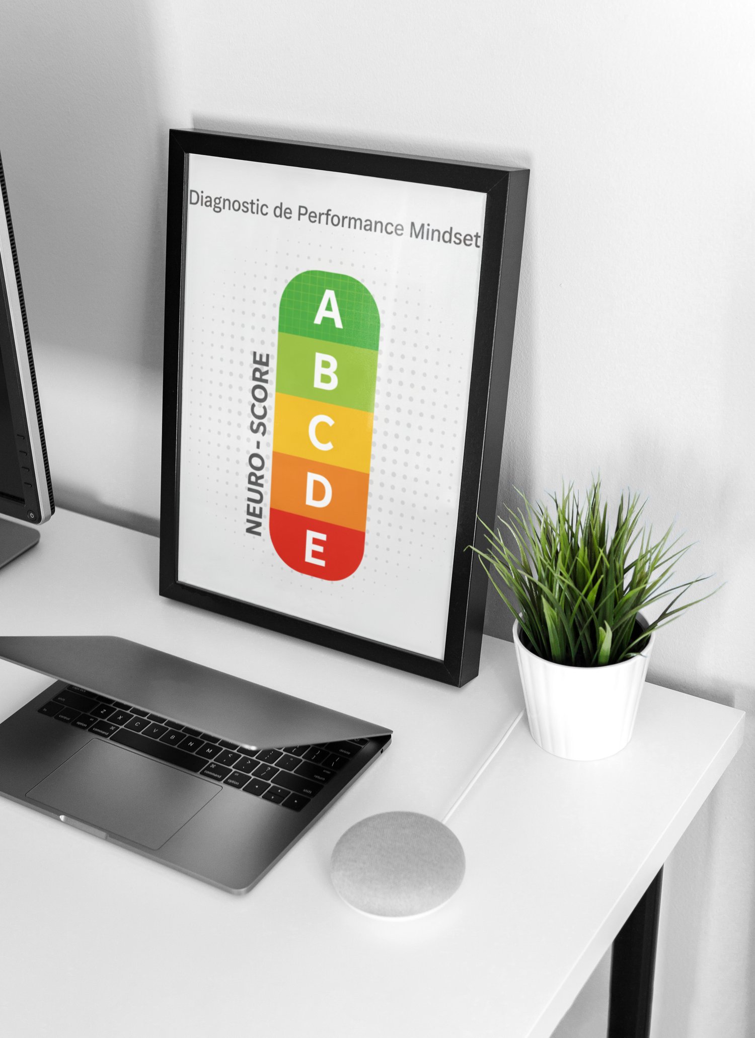 Neuro-Score du Diagnostic de Performance Mindset (DPM) sous forme de grille A à E, illustrant la mesure scientifique de l'efficacité du mindset professionnel.