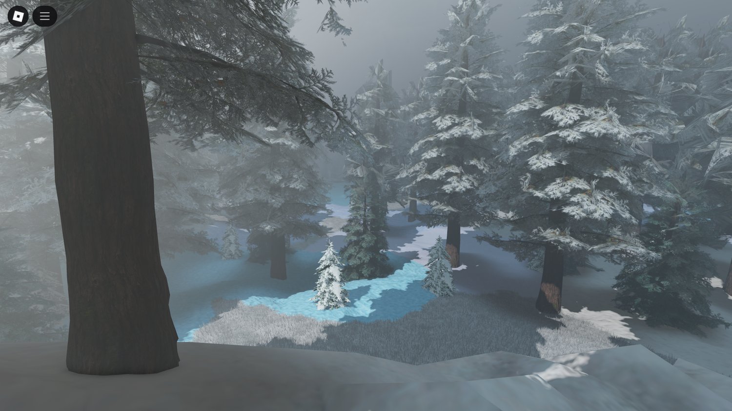 Snow pathways winding through forests and valleys