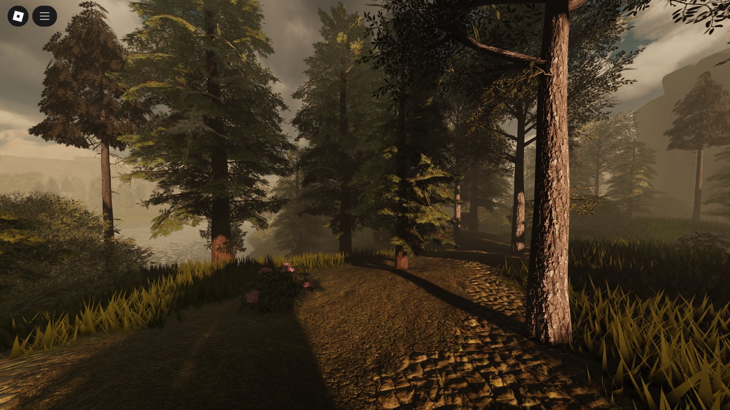 Dirt paths winding through the forest