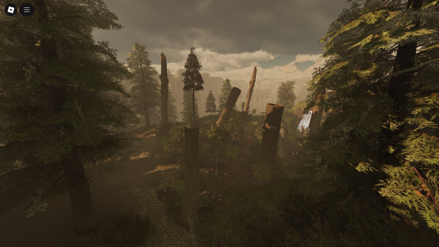 Scenic forest landscape with vegetation and water features