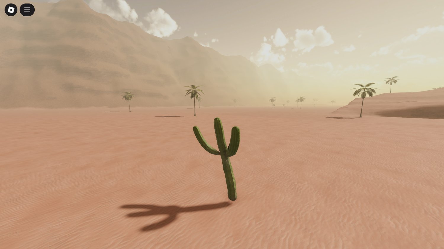 Rolling sand dunes with sparse vegetation