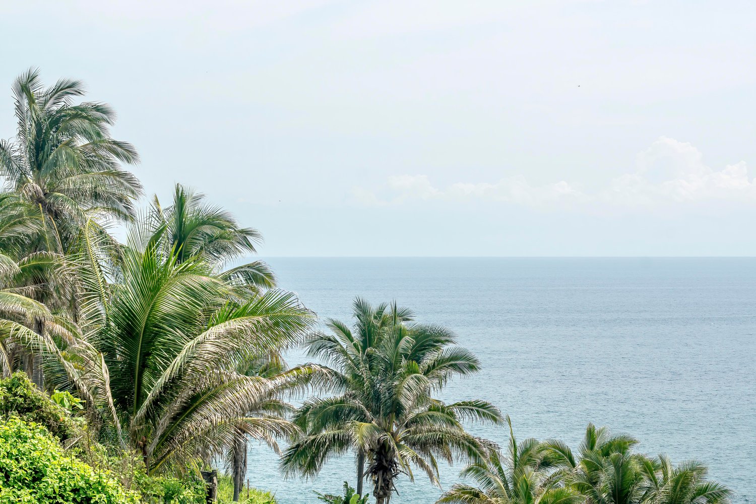 coastal photography print, palm trees ocean view, tropical wall art, seaside home decor, beach house artwork, ocean horizon photo, tropical nature print, calm seascape art, tropical landscape decor, printable coastal photo
