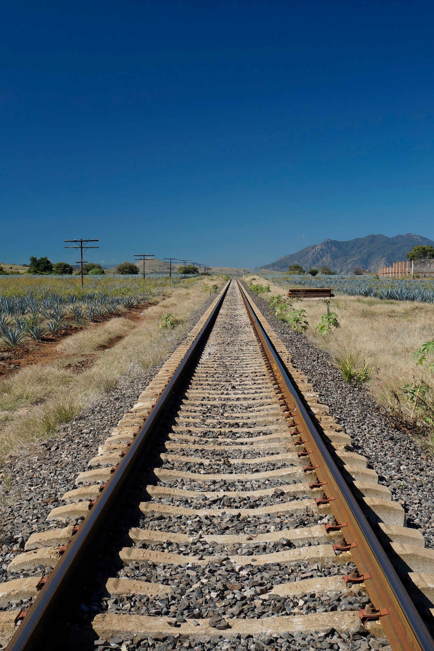 railroad canvas wall art, travel photography, agave field decor, blue sky landscape, journey wall art, perspective canvas print, adventure photography, minimalist office decor, nature travel art, horizon wall decor, modern canvas print