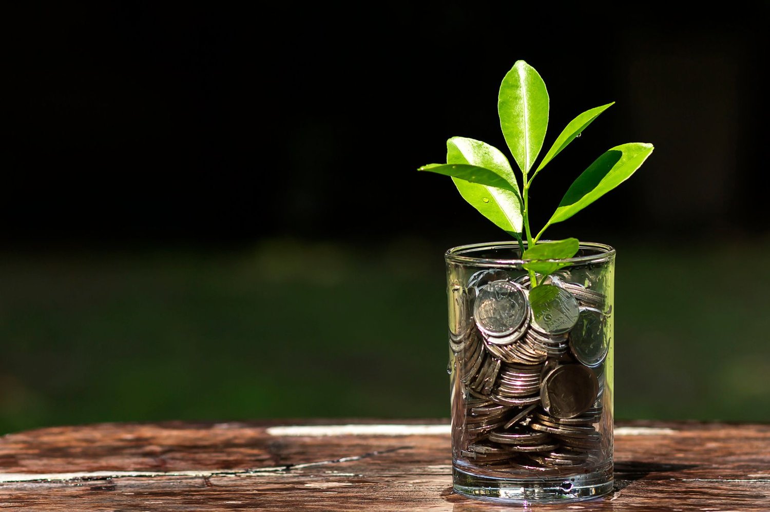 Best Industries to Invest In