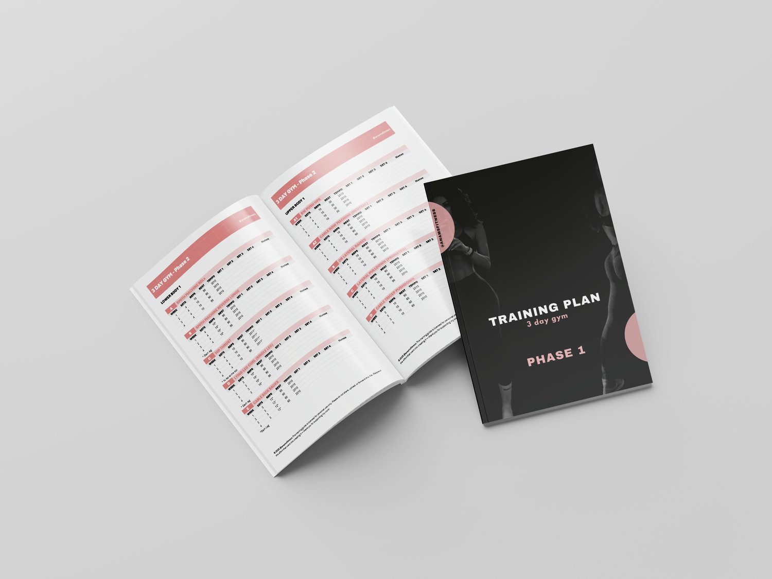 8 Week Foundation Program - Gym - Payhip