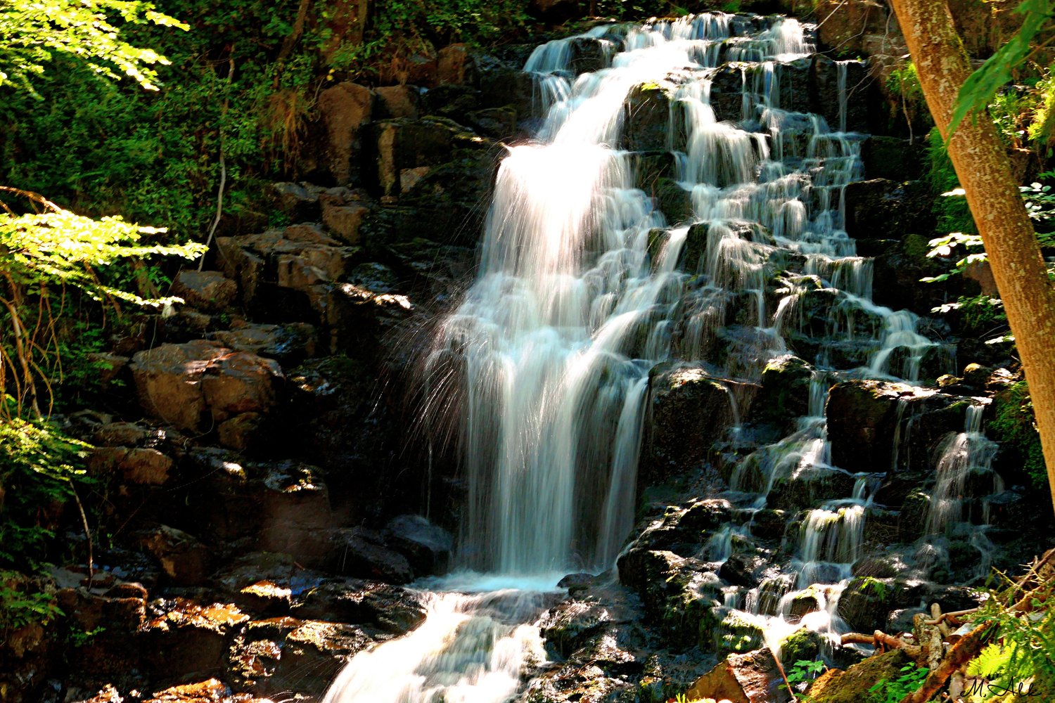 cascading falls, forest landscape, forest stream, forest water scene, forest waterfall, google images waterfall, green forest scenery, high resolution waterfall, M.A.L.K photography, nature escape art, nature lover gift, nature photography, peaceful natur