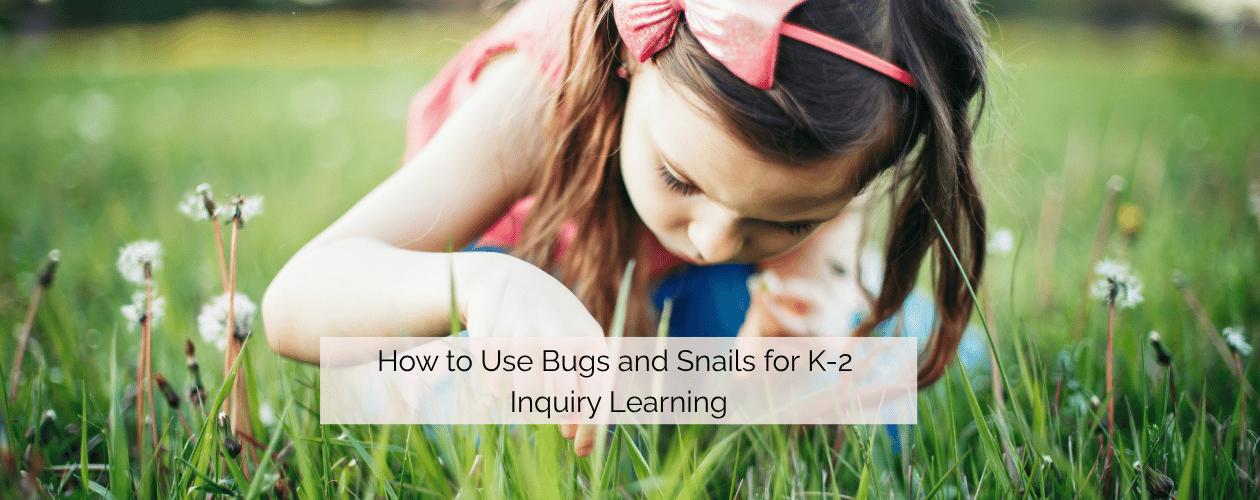 How to use bugs and snails for K-2 inquiry learning