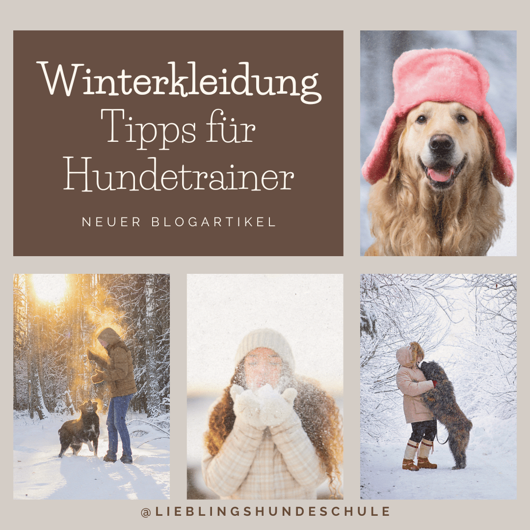 Hundetrainer Winterkleidung