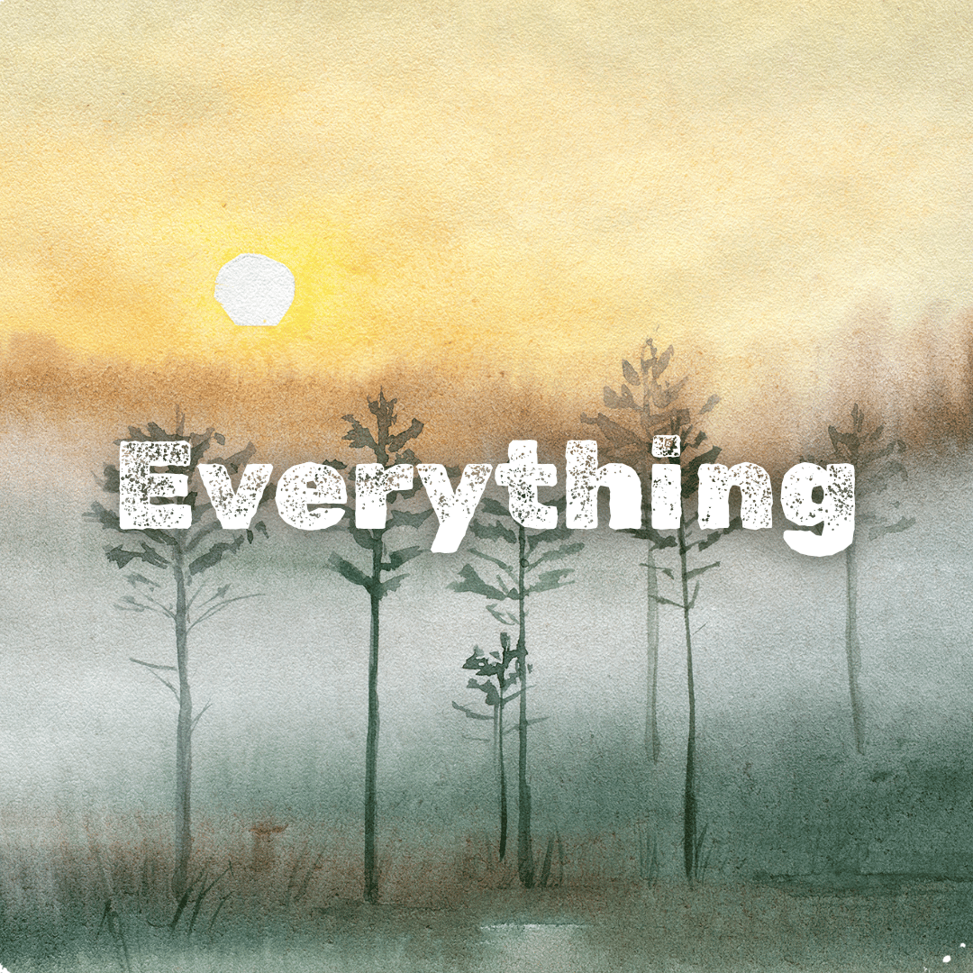 Everything at Dartmoor Kin