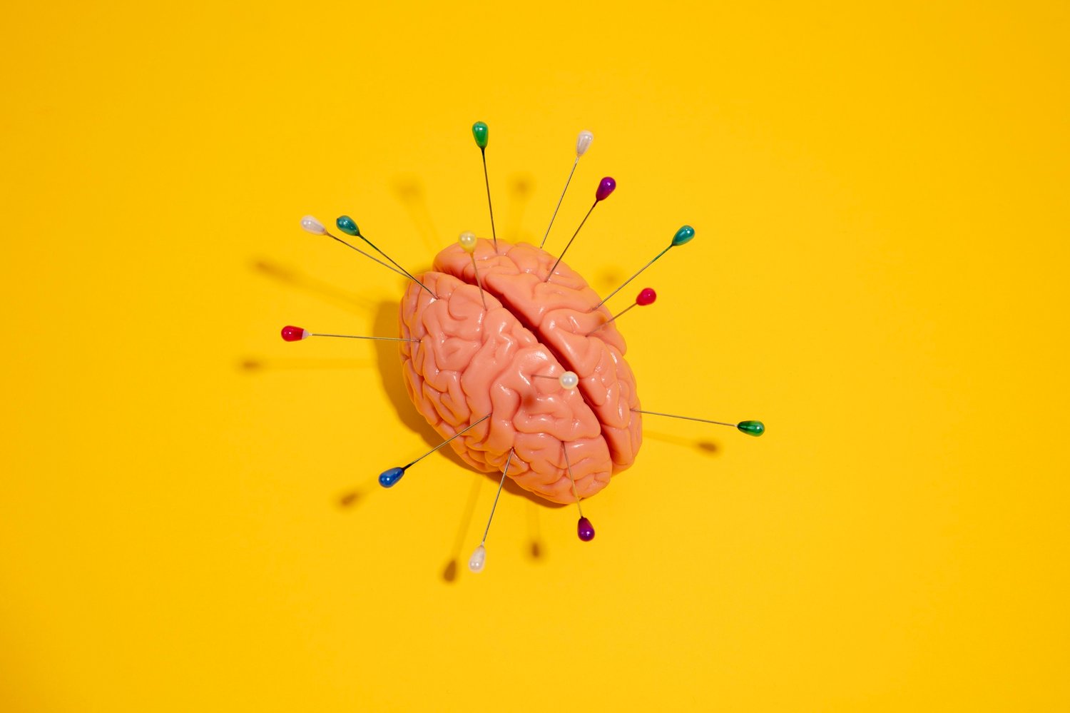 Modelo de cerebro con alfileres de colores sobre fondo amarillo, simbolizando la neurociencia aplicada al pensamiento estratégico y al dominio mental.