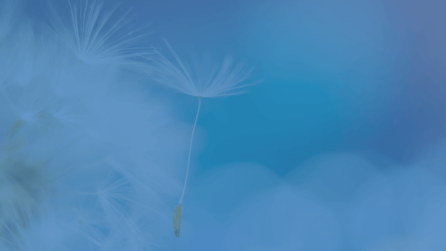 Hypnotherapist Gary Maddison