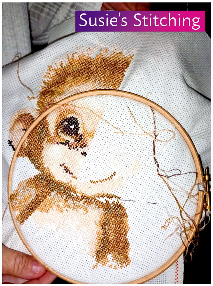 embroidery stitching of a cute cheeky baby monkey made by Susan Hall of Susie's Stitching