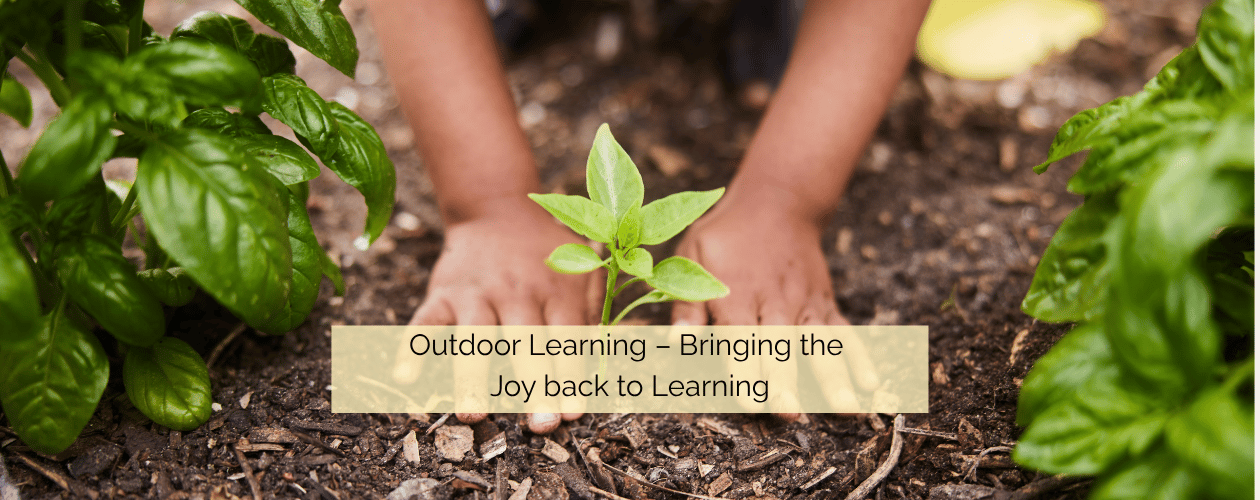 Outdoor learning bringing the joy back to learning - child planting seedling