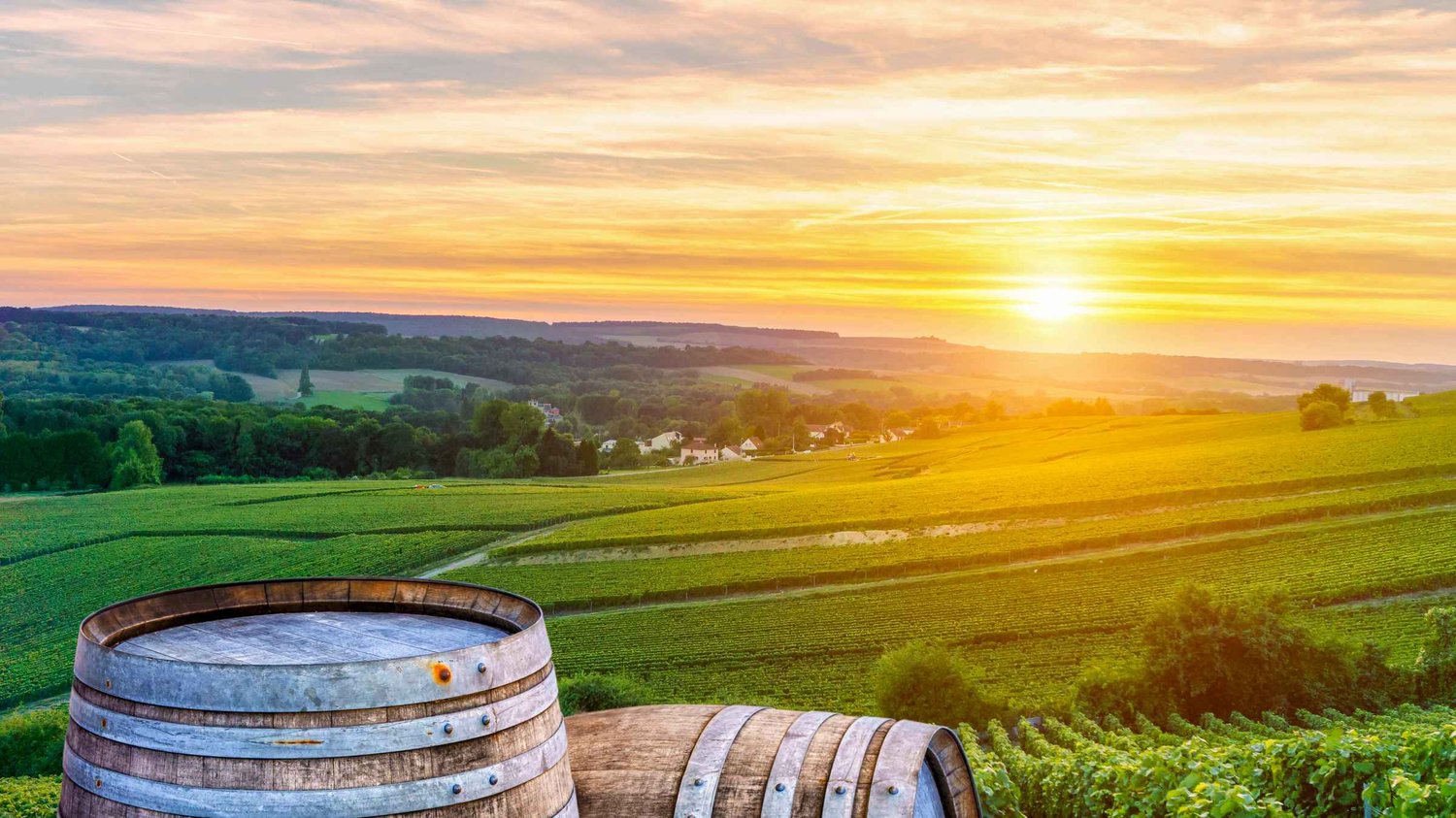 Viñedos Región Champagne