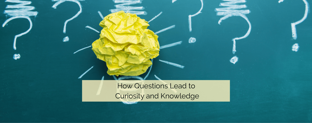 How questions lead to curiosity and knowledge - question marks and light bulb