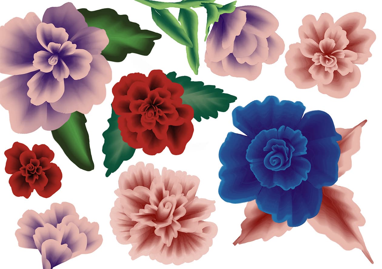 Roses made with Dual Color brushes in Procreate one stroke roses digital