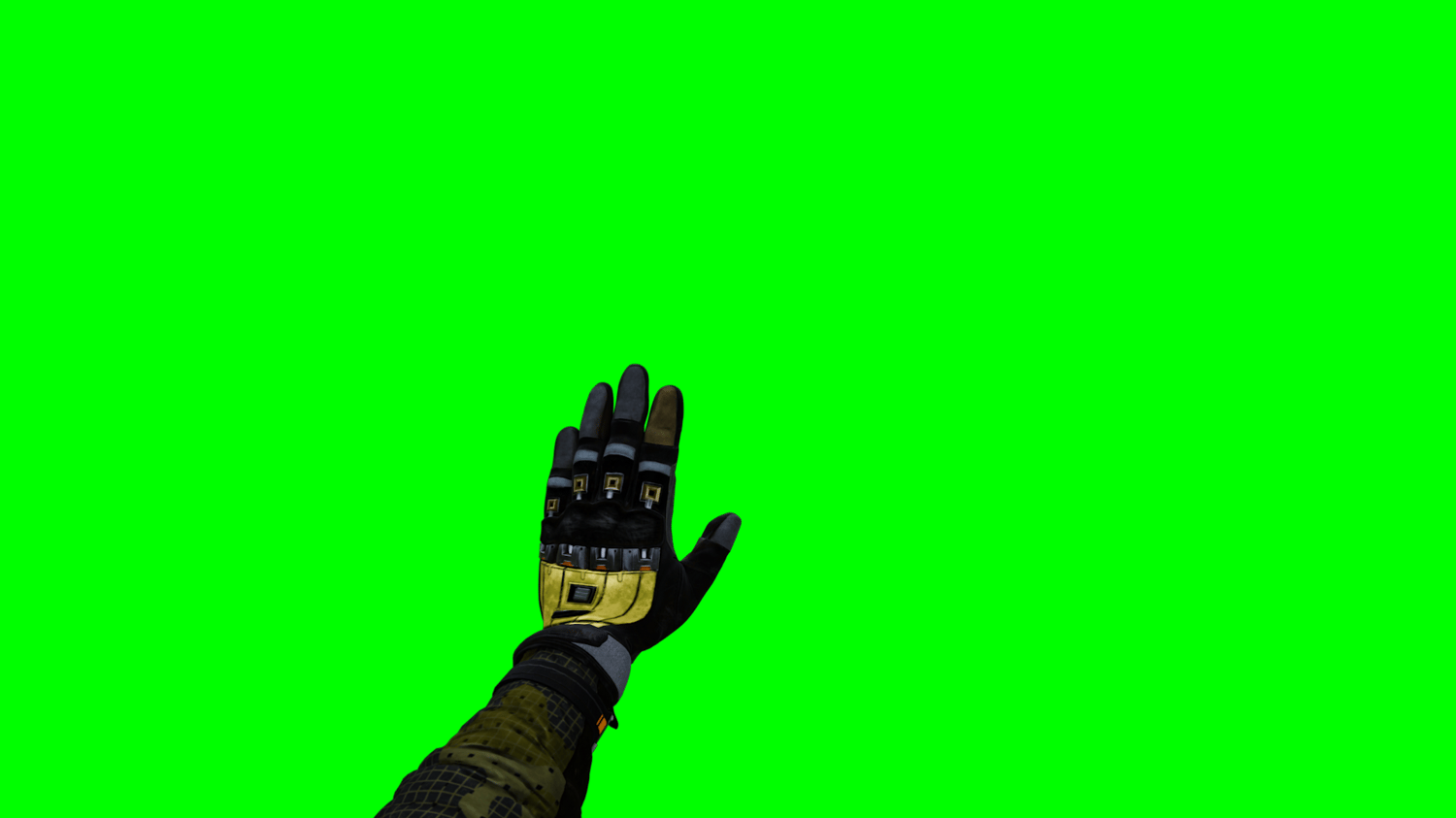 Wait Hand Gesture