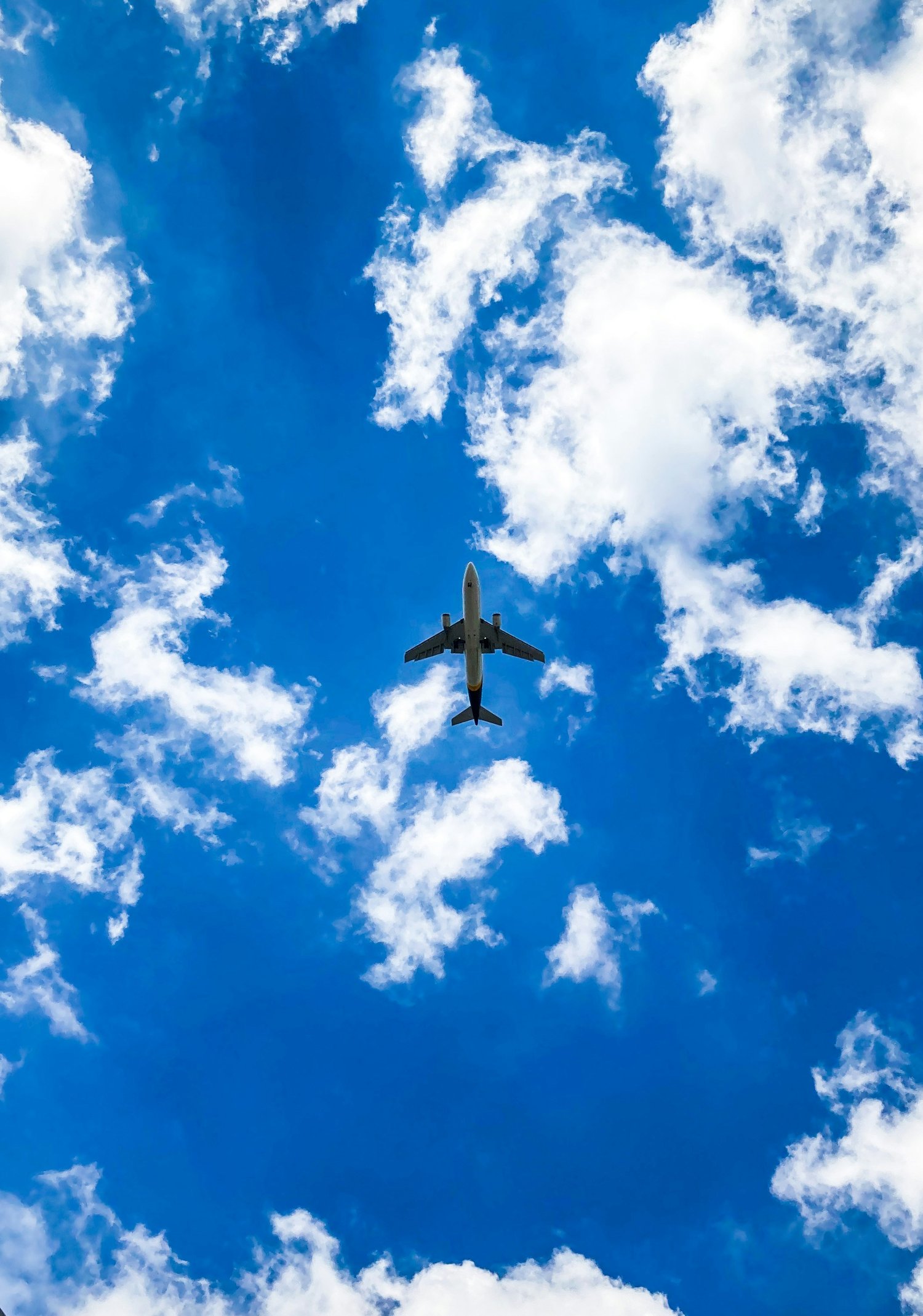 Plane flying in sky