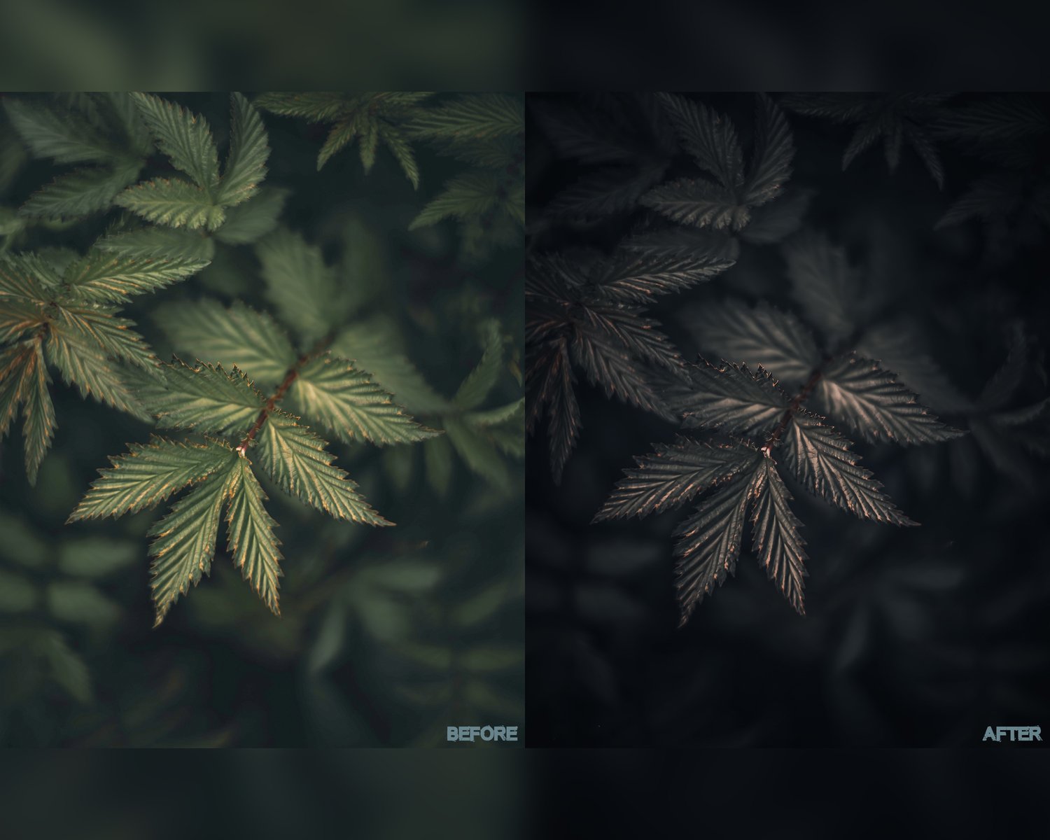insta Moody presets, Lightroom presets, Moody dark presets, Moody preset, Dark presets, Preset Lightroom, Cinematic presets, Black preset