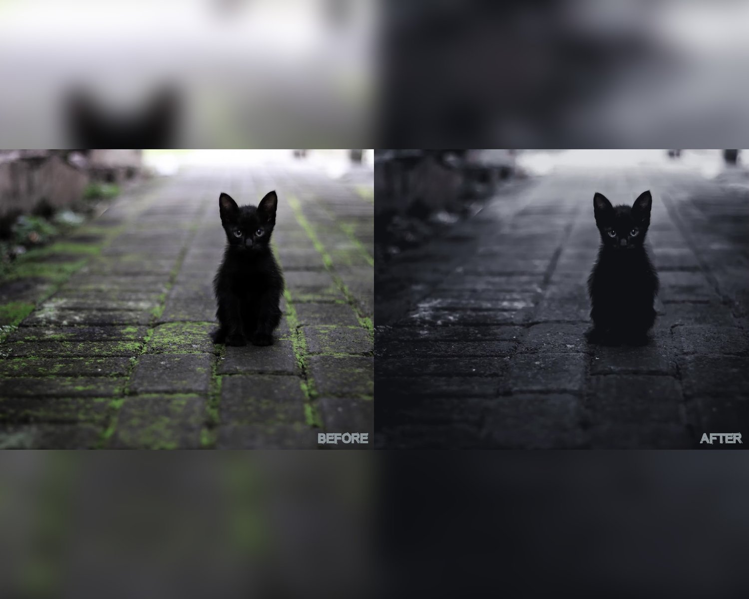 BLVCK presets, Lightroom presets, Black preset, Dark presets, Moody preset, Blvck paris, Preset Lightroom, Instagram presets, Film presets