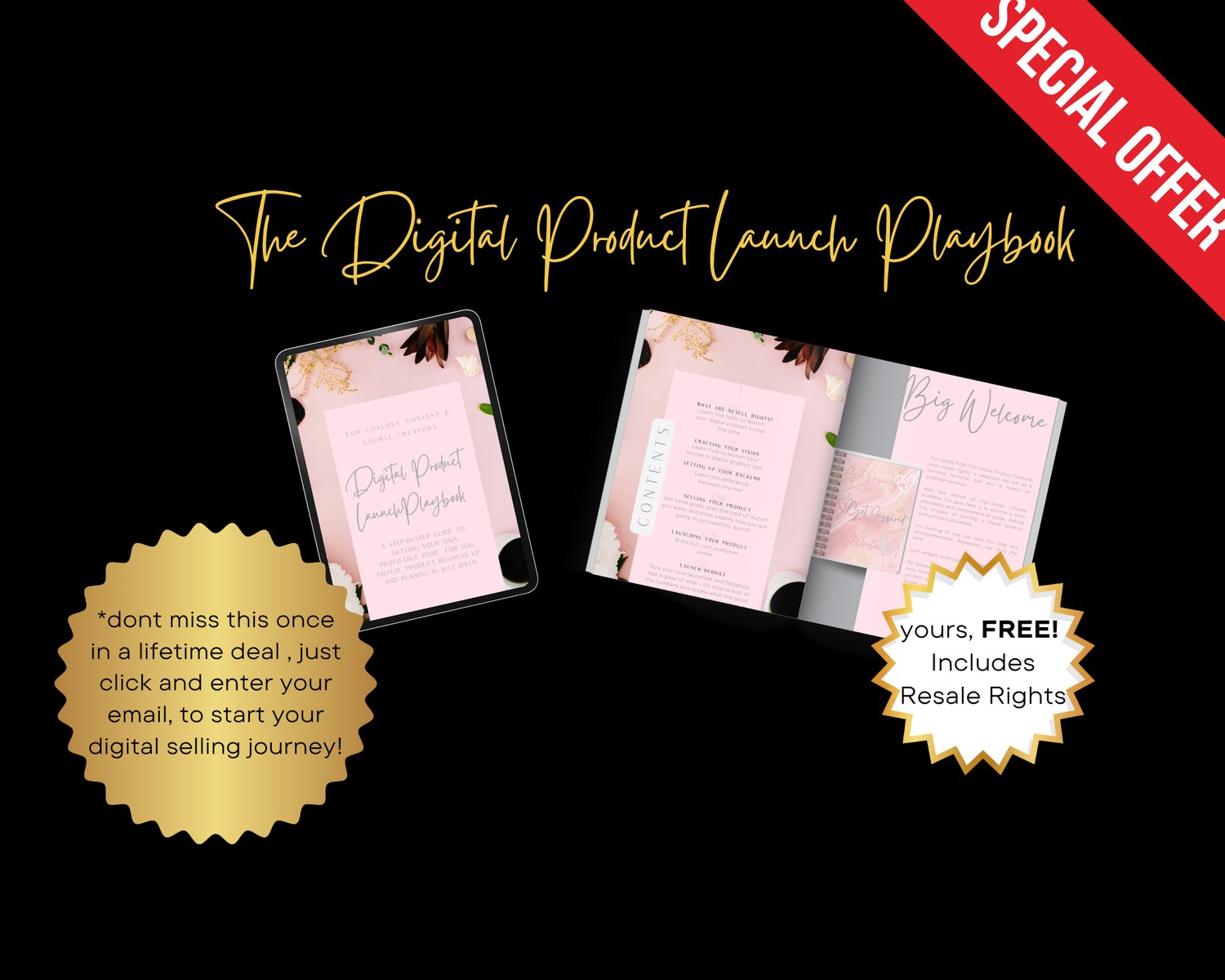 Digital Product Launch Playbook Freebie - Payhip