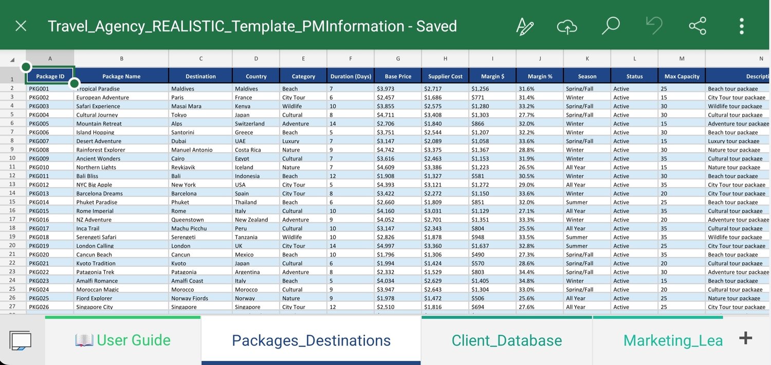 Travel Agency Profit and Margin Tracking Dashboard Template