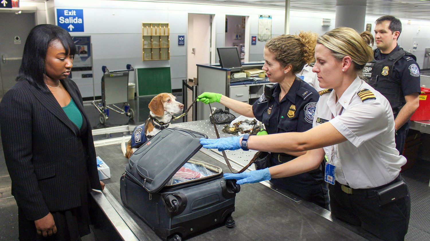 A woman waits beside an inspection table in an airport security area while two uniformed officers in gloves examine her open suitcase. A beagle wearing a Customs badge sits alert beside the luggage and looks toward the officer holding its lead. Another of