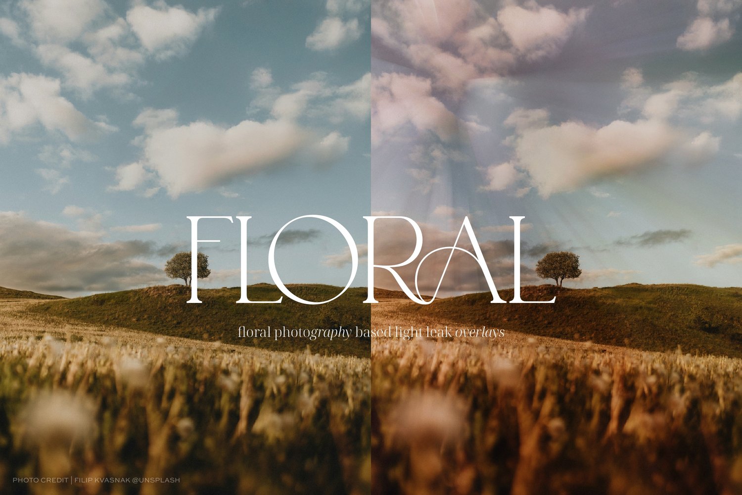 blurred floral light leak images