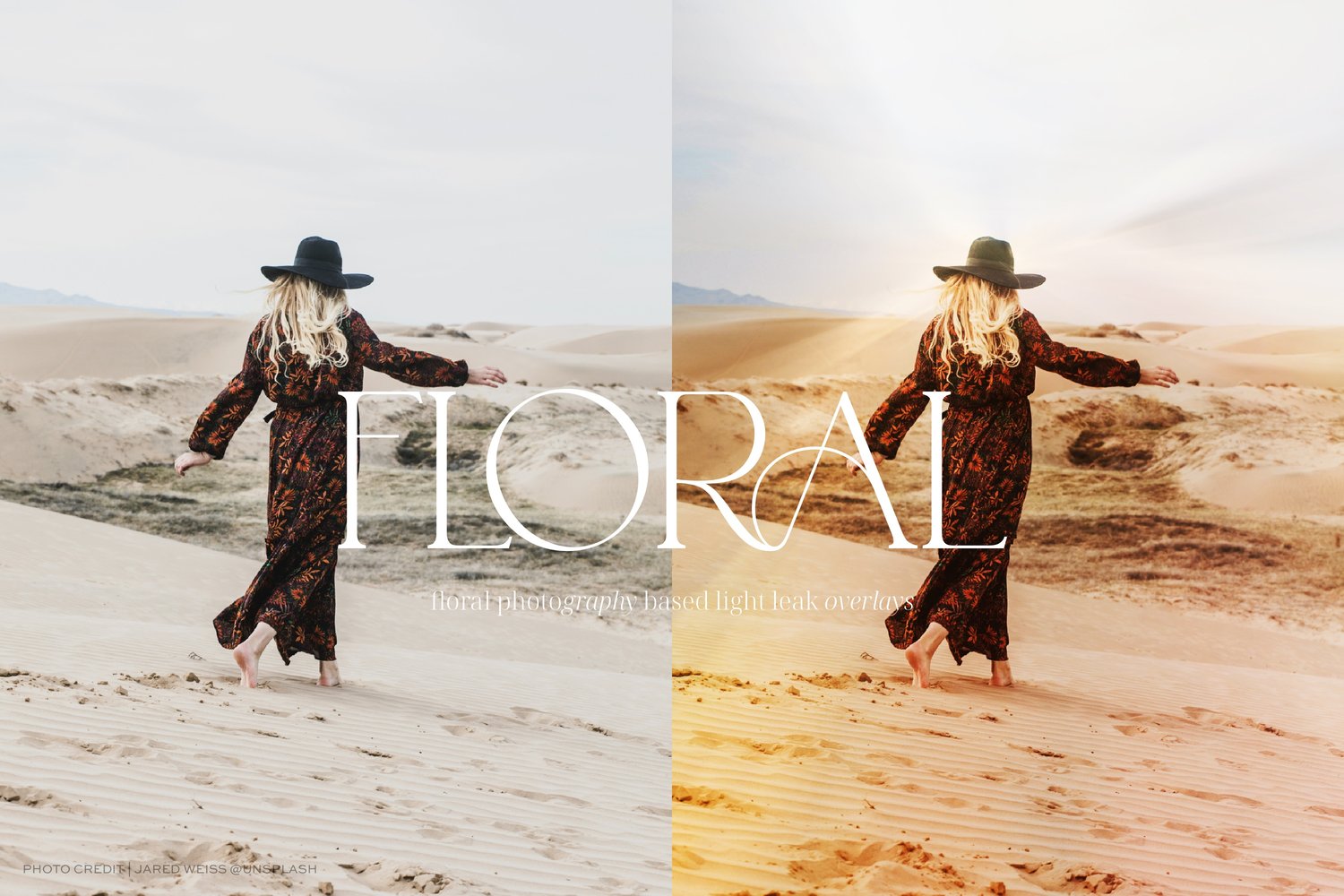 blurred floral light leak images