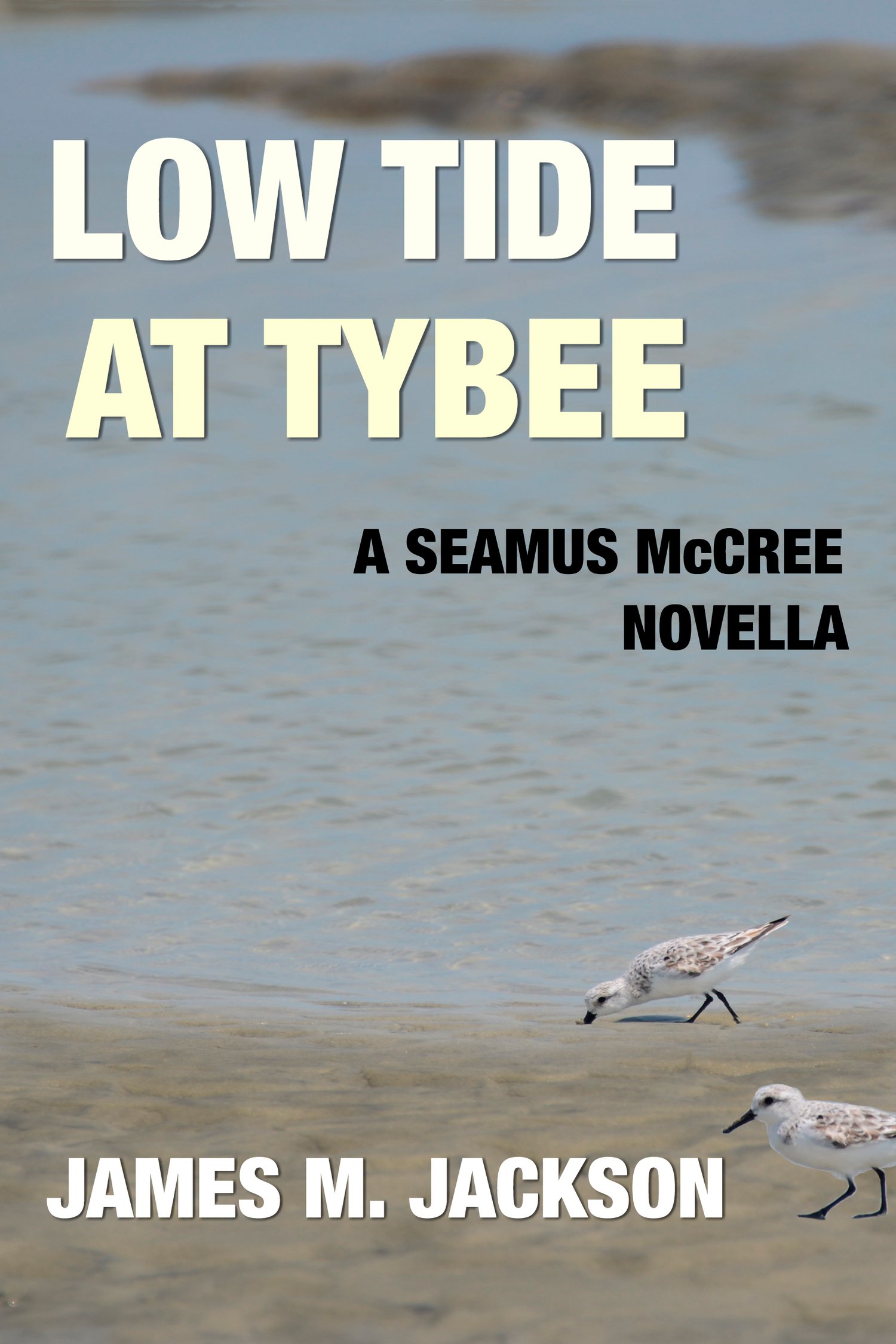 Low Tide at Tybee Book Cover