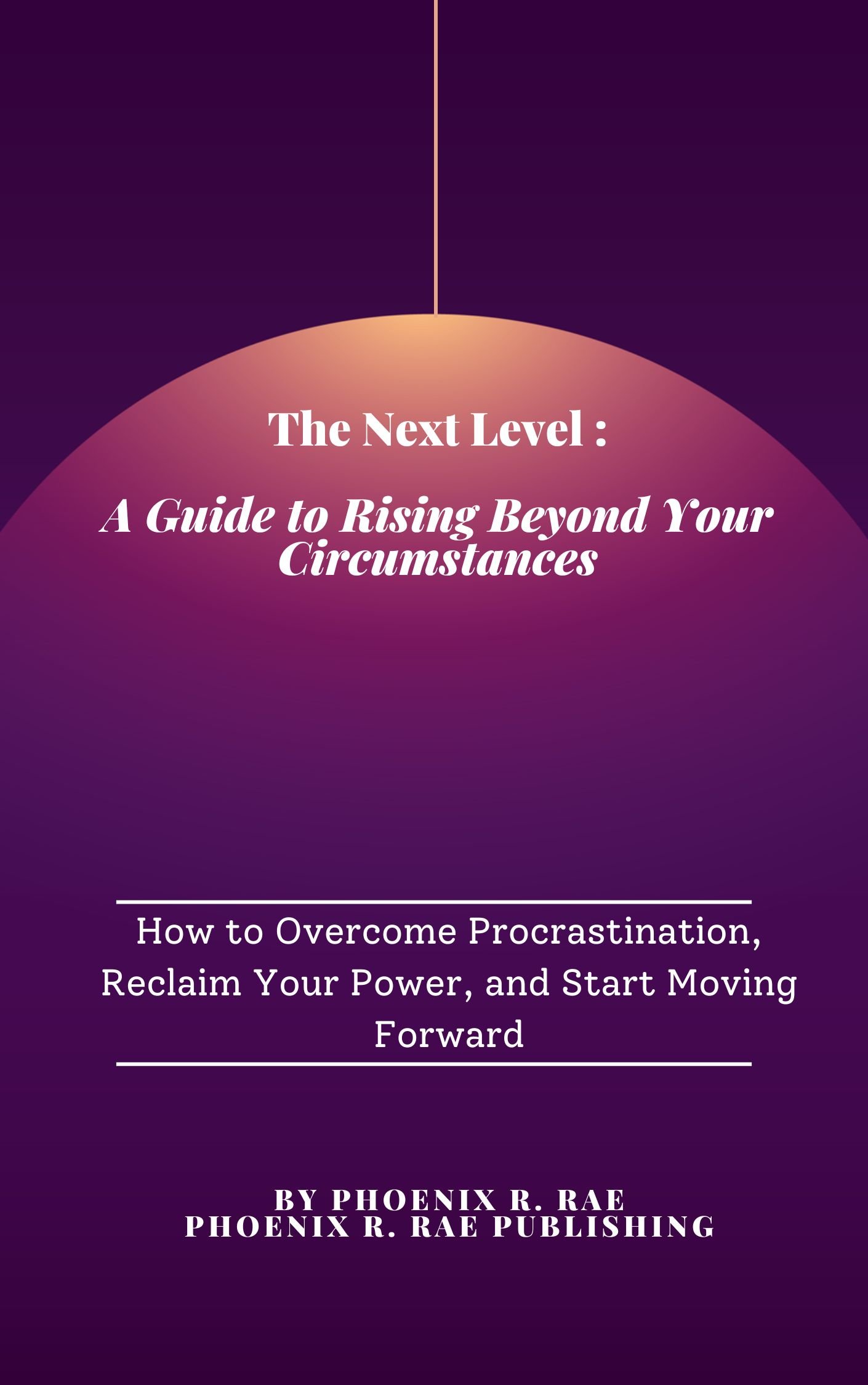 The Next Level A Guide to Rising Beyond Your Circumstances - Payhip
