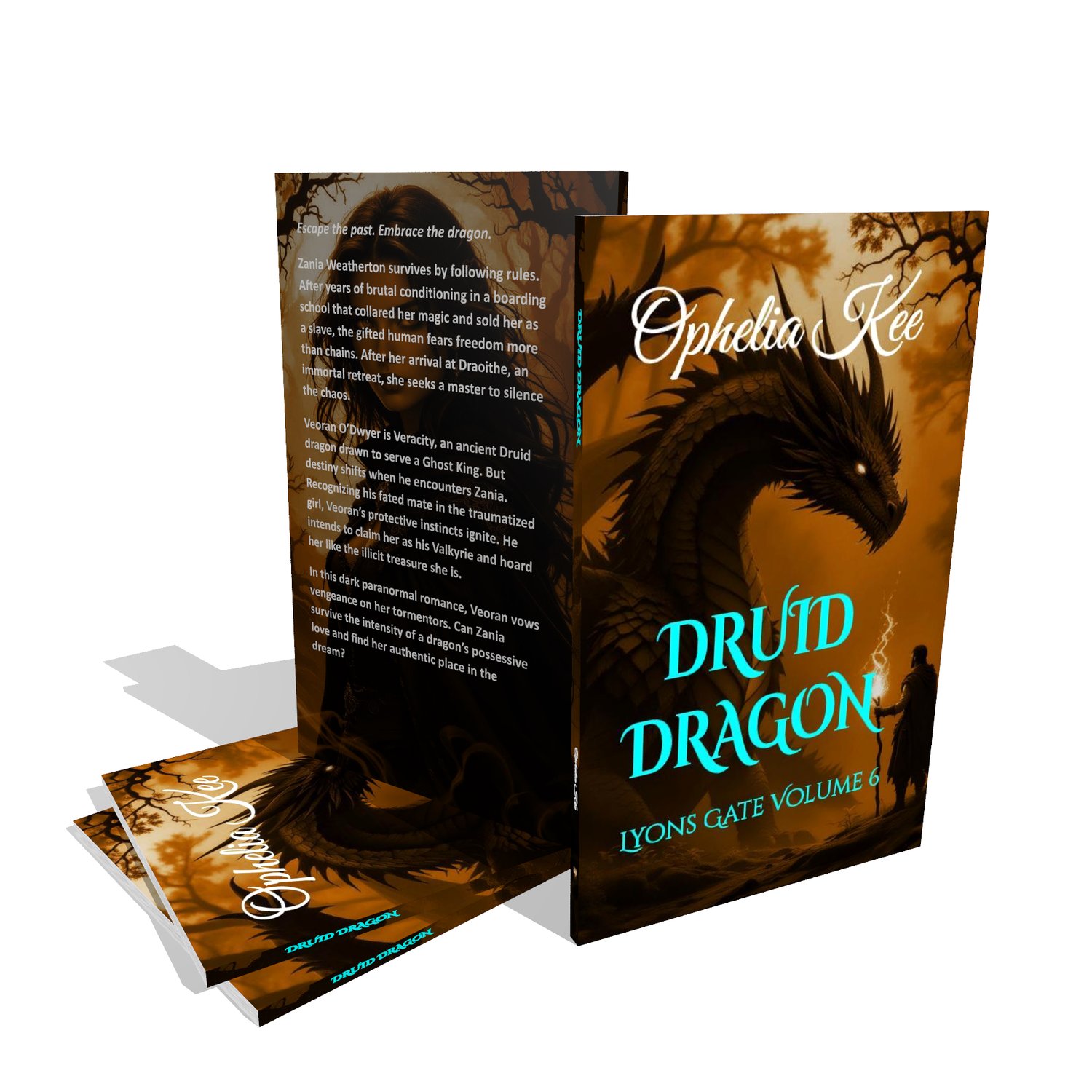 Druid Dragon Book Stack
