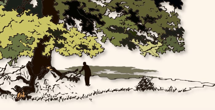 silohette next to broken tree branches