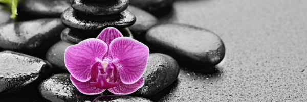 claudiacalvin-midlifeatelier-@laclaucalvin