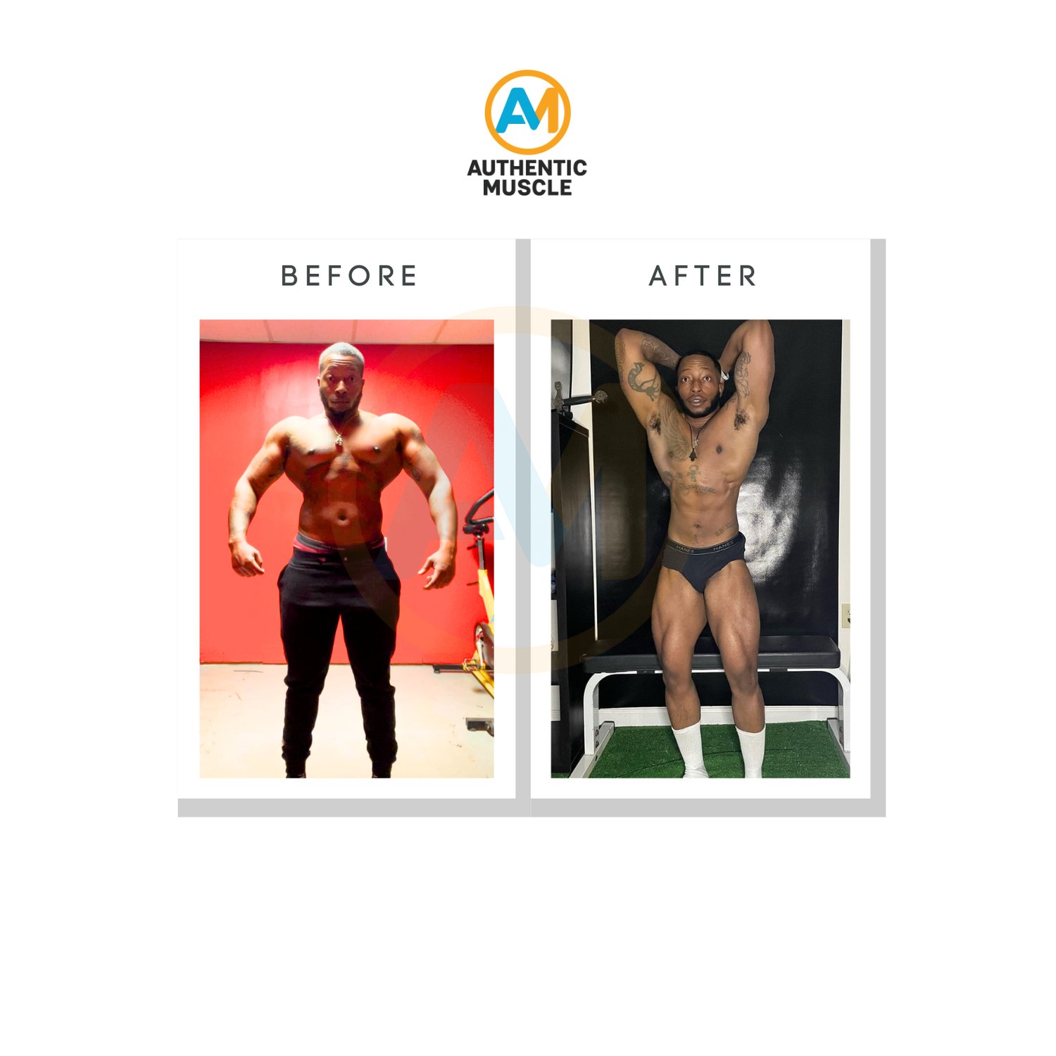 Authentic Muscle Fitness - Payhip