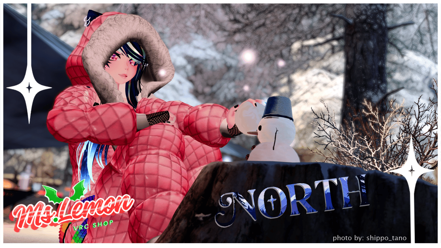 North || PC || VRCFT || GogoLoco