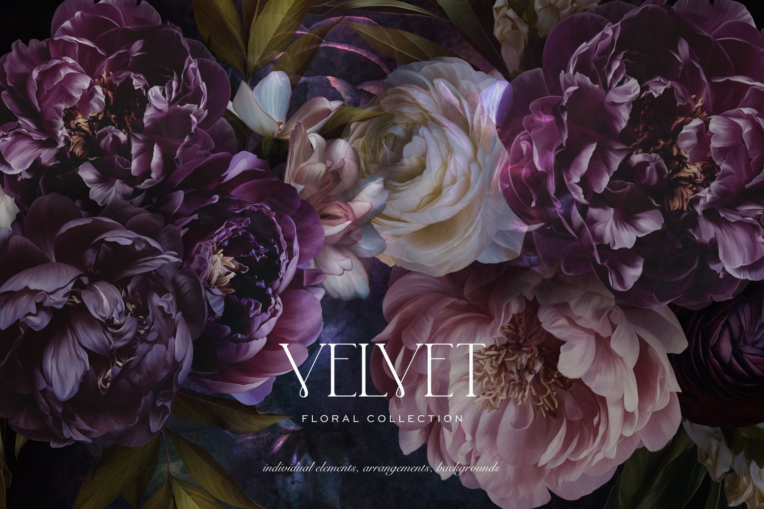 Dark pink and purple floral art graphics on a dark background with the words Velvet Floral Collection