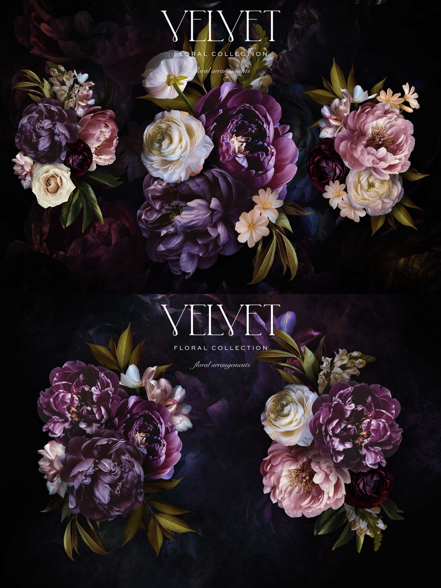 Dark pink and purple floral art graphics on a dark background with the words Velvet Floral Collection