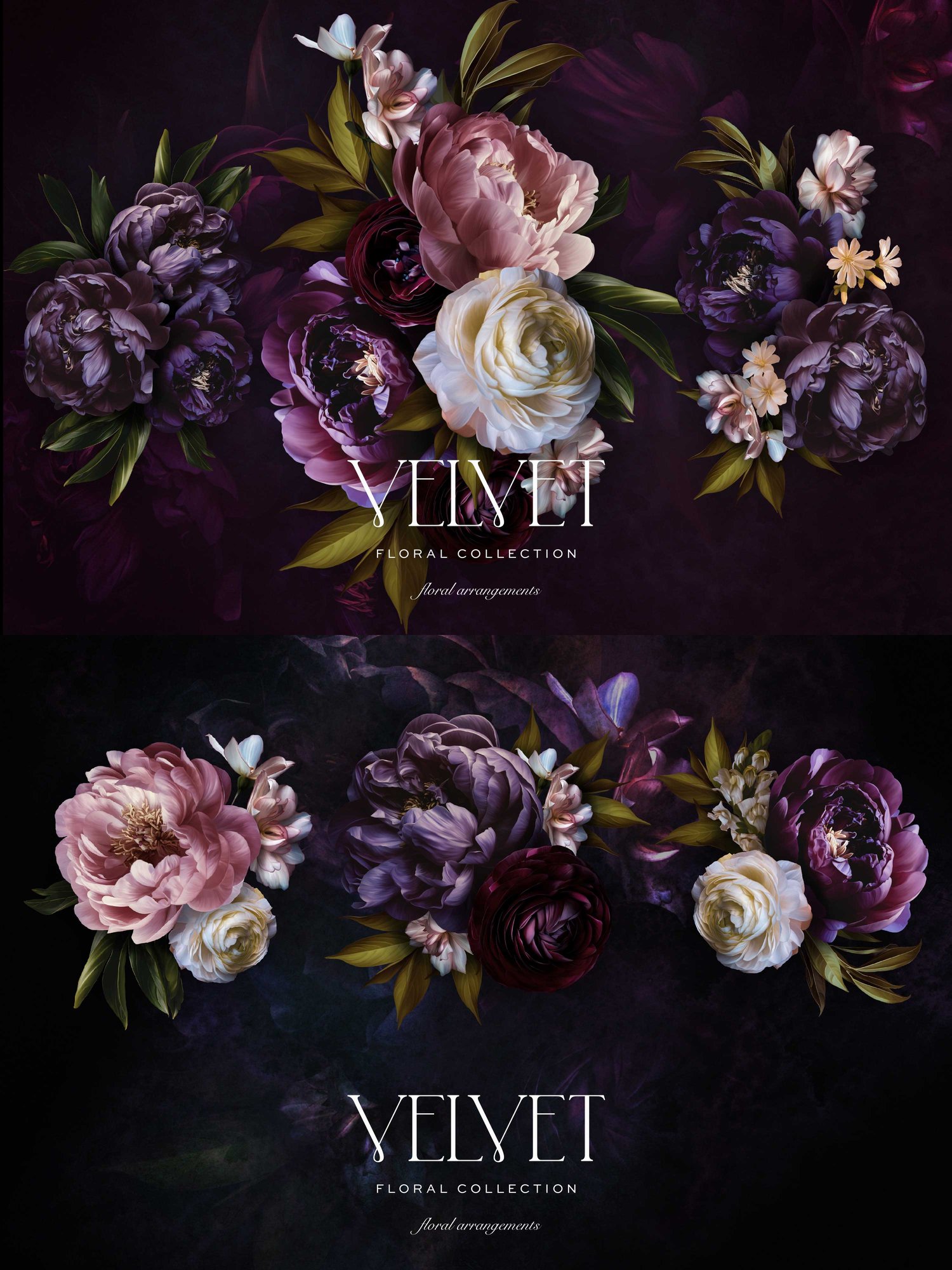 Dark pink and purple floral art graphics on a dark background with the words Velvet Floral Collection