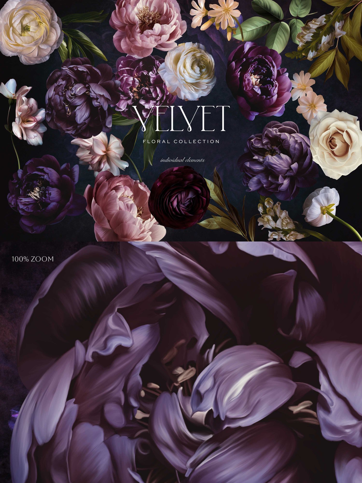 Dark pink and purple floral art graphics on a dark background with the words Velvet Floral Collection