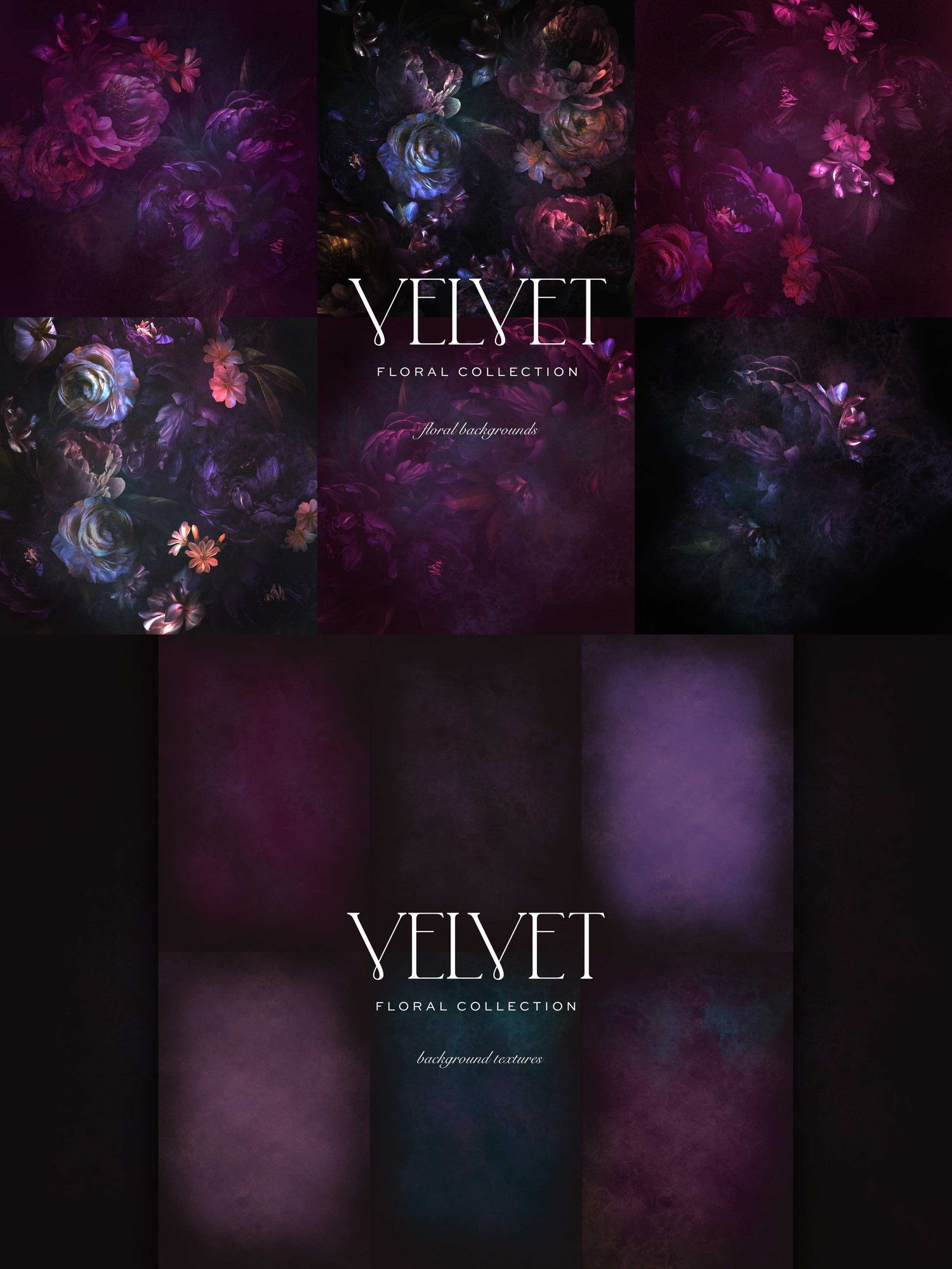 Dark pink and purple floral art graphics on a dark background with the words Velvet Floral Collection