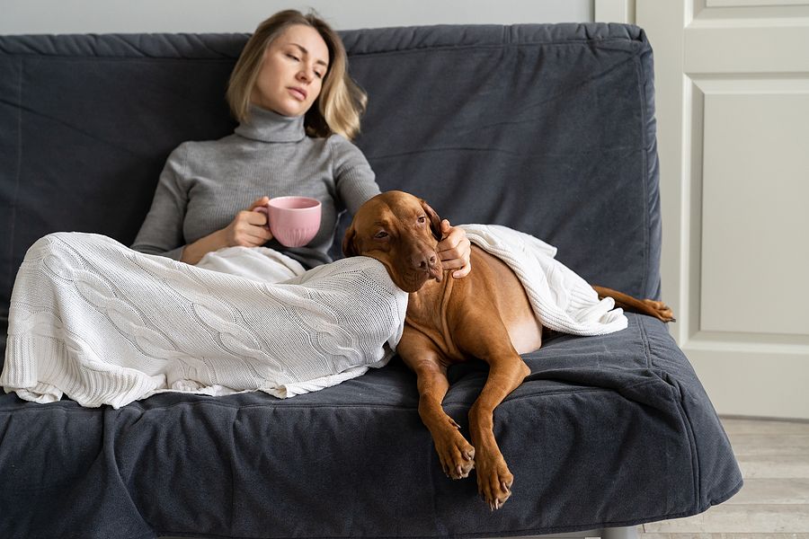 Stressed Human and Dog