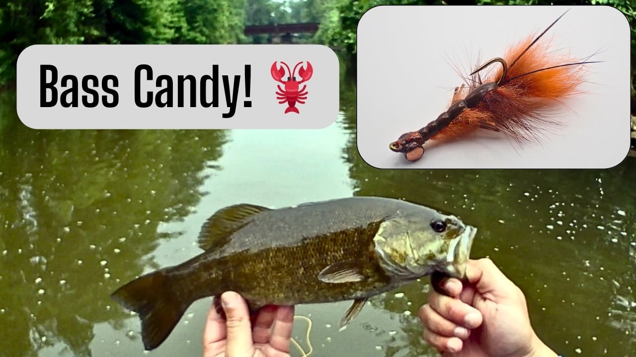 Smallmouth bass caught in an Ohio creek on a Craw Jig fly, close‑up fish in hand.