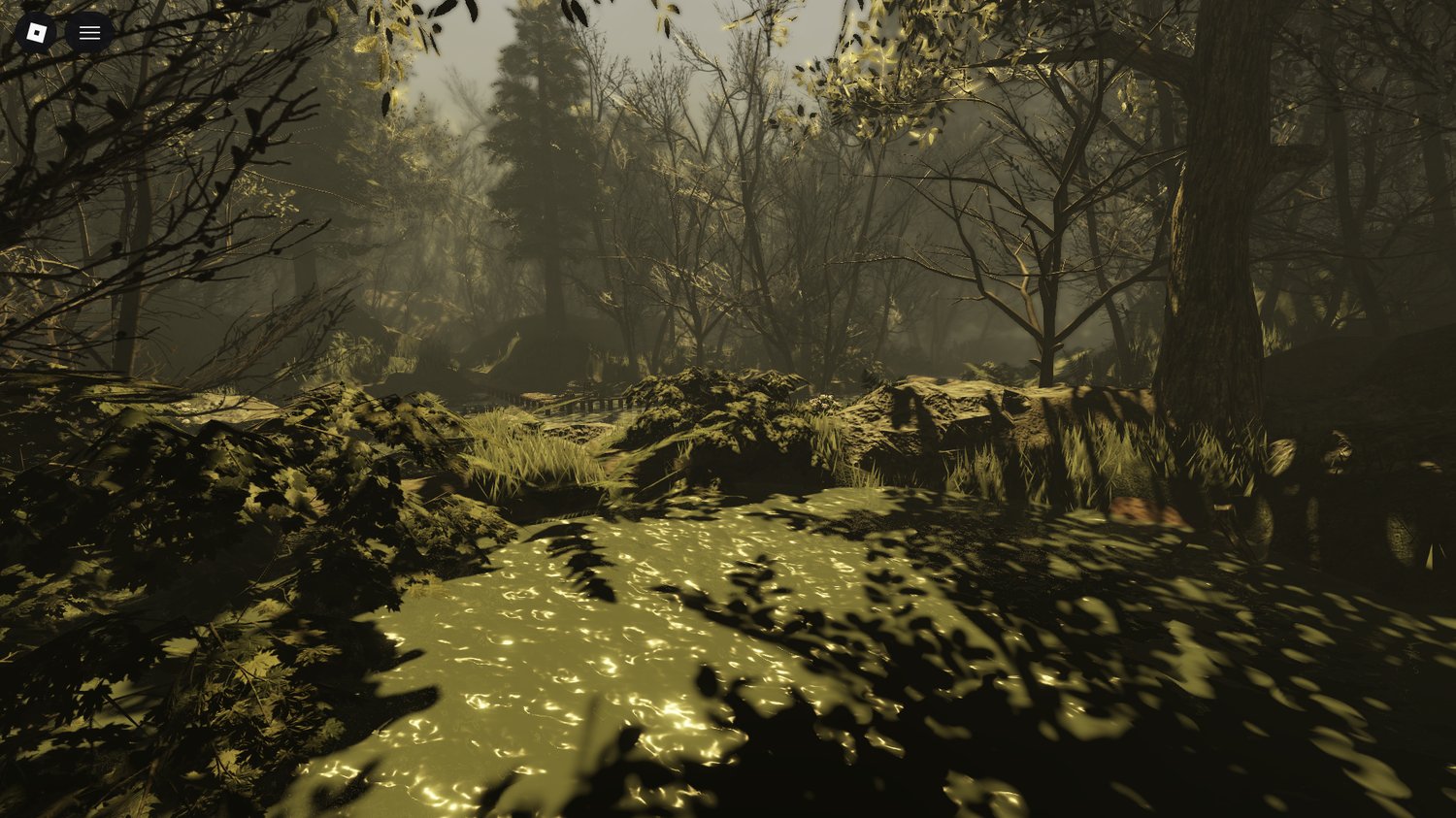 Fishing area beside swamp water