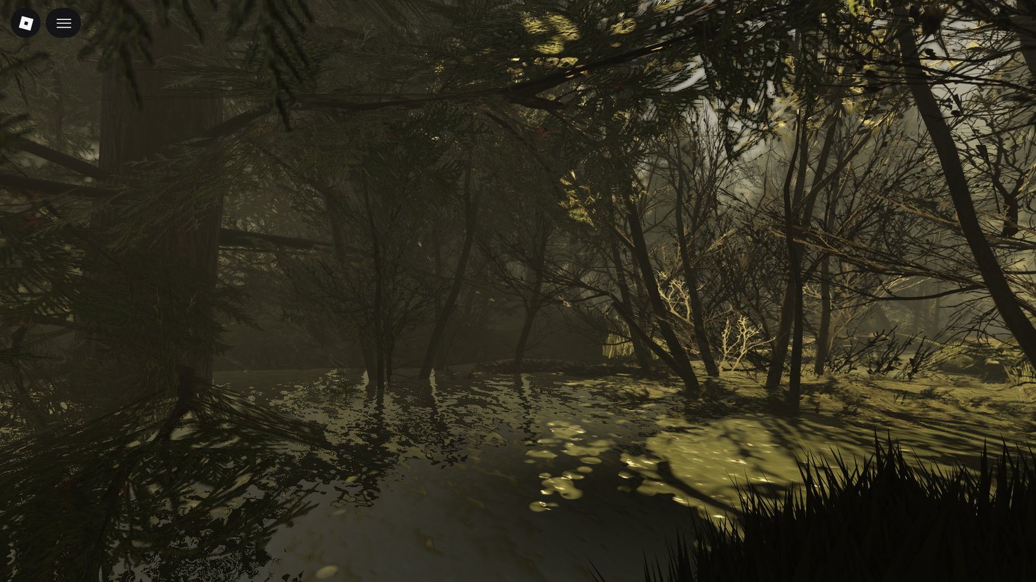 Foggy Florida swamp lighting scene