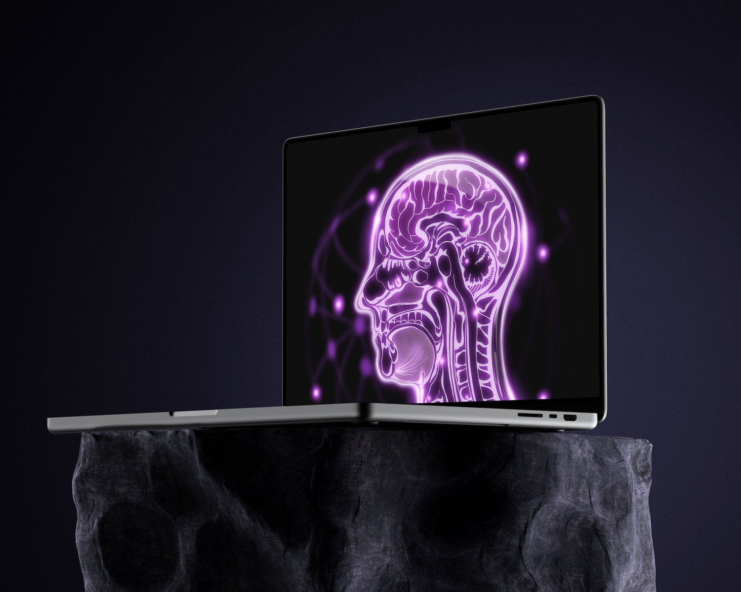 cross section brain anatomy motion graphic video illustration